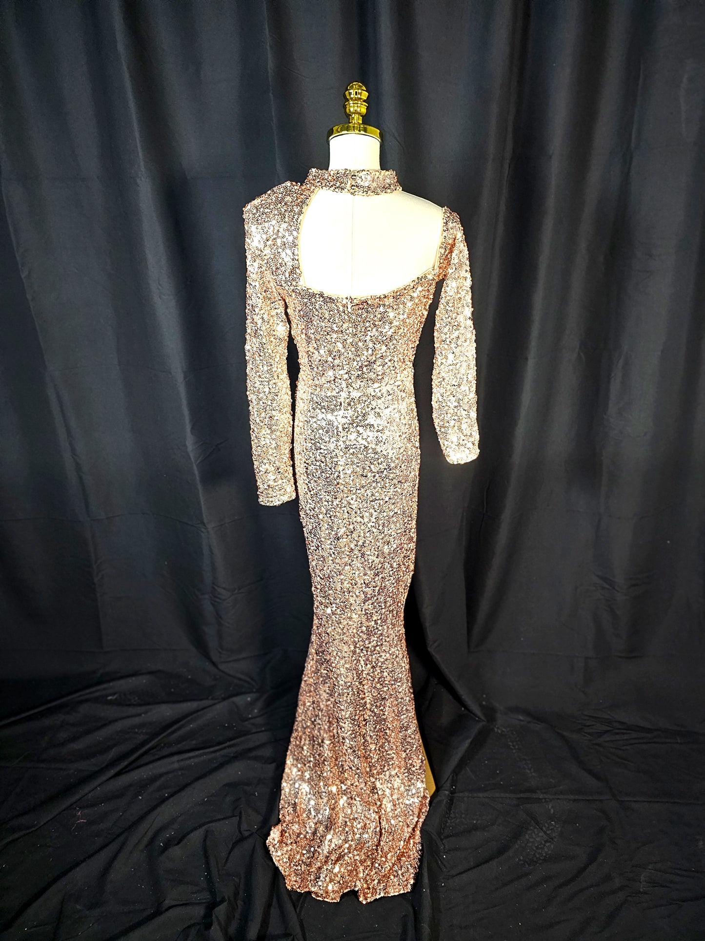 Glimmer Goddess Evening Gown