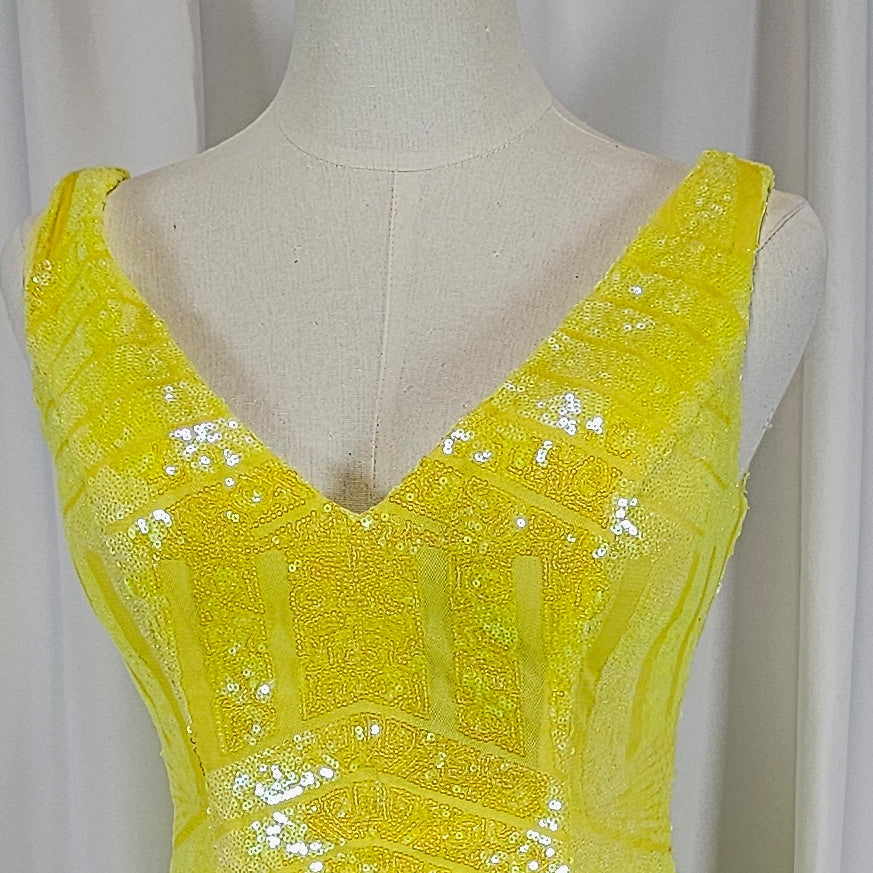 Sunny Sparkle Sequin Dress: Shine Bright Like a Star!