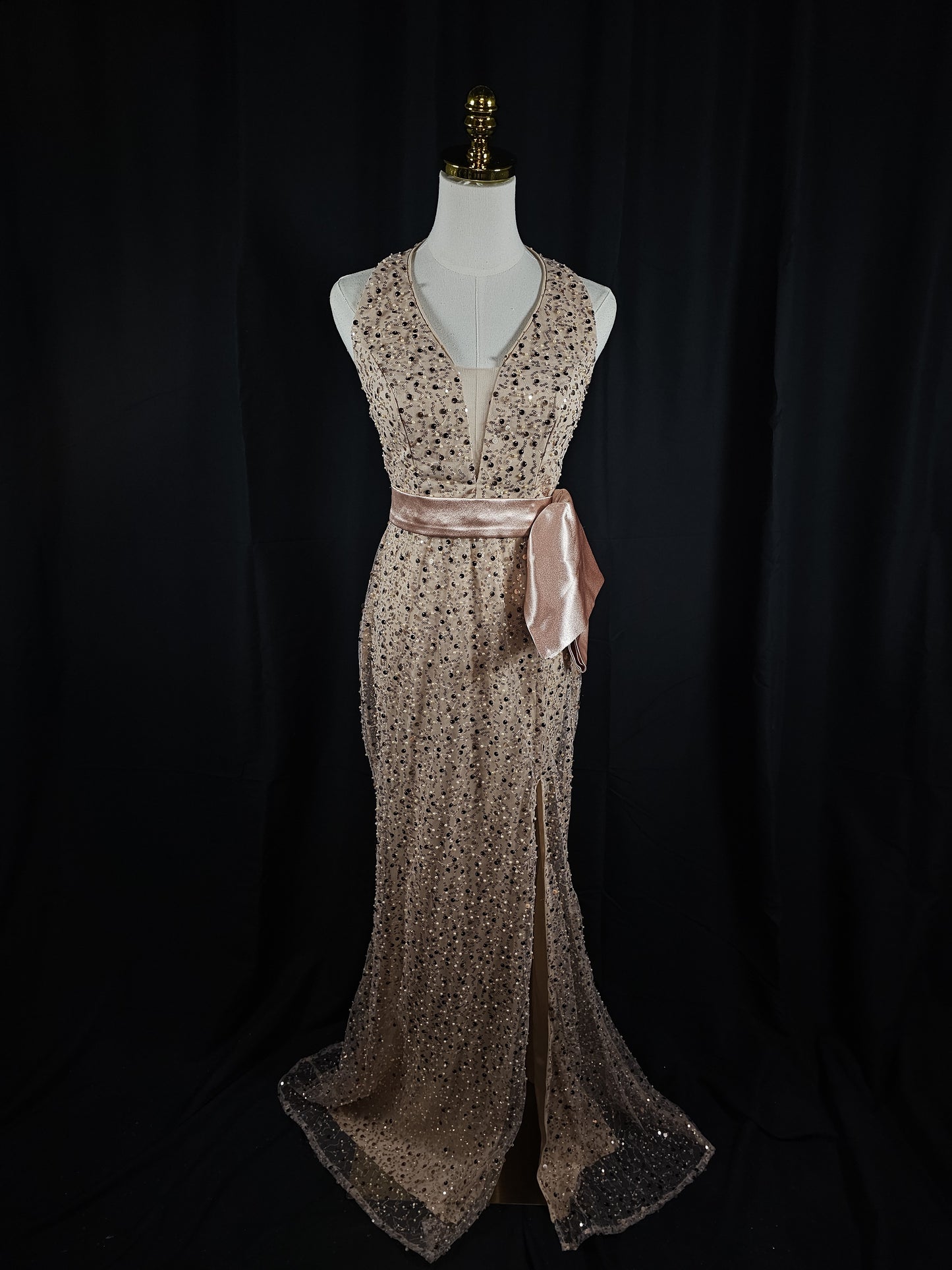 Glamorous Goddess Evening Gown: The Sparkle Edition
