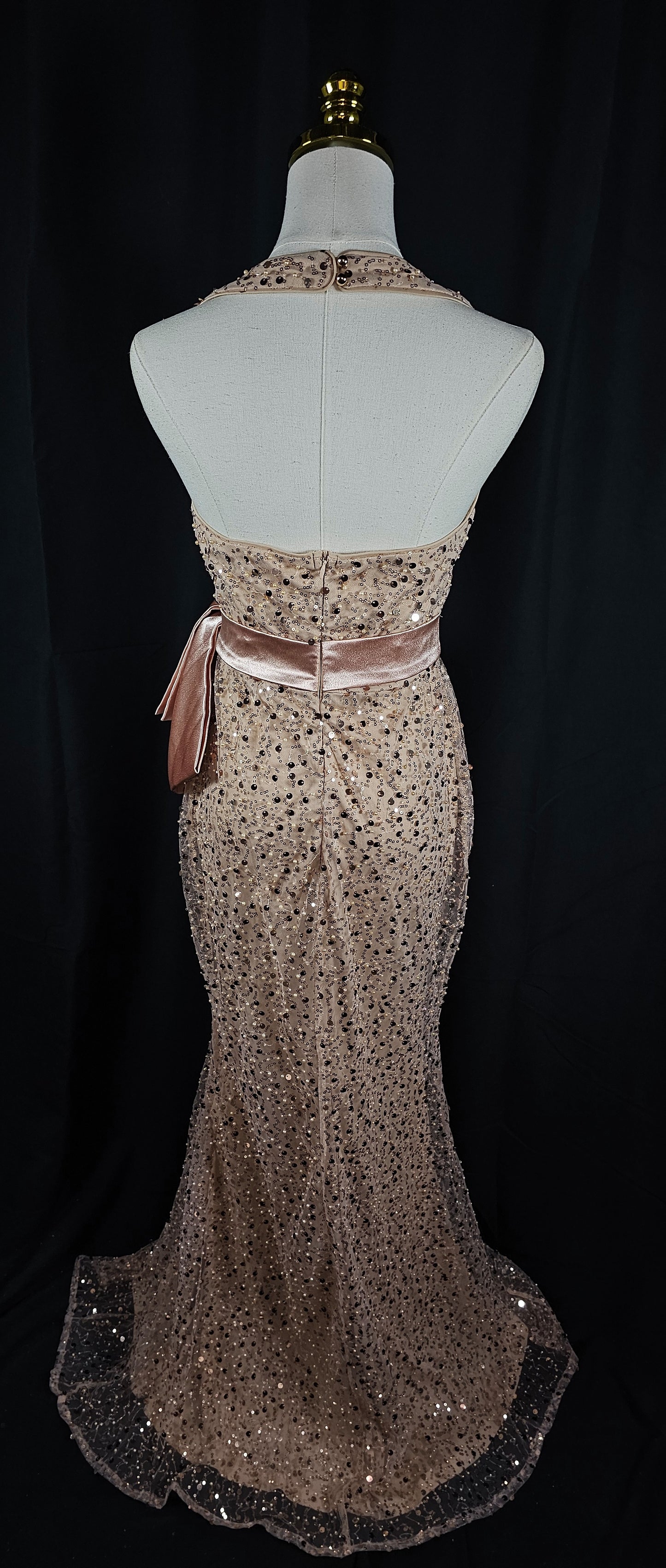 Glamorous Goddess Evening Gown: The Sparkle Edition