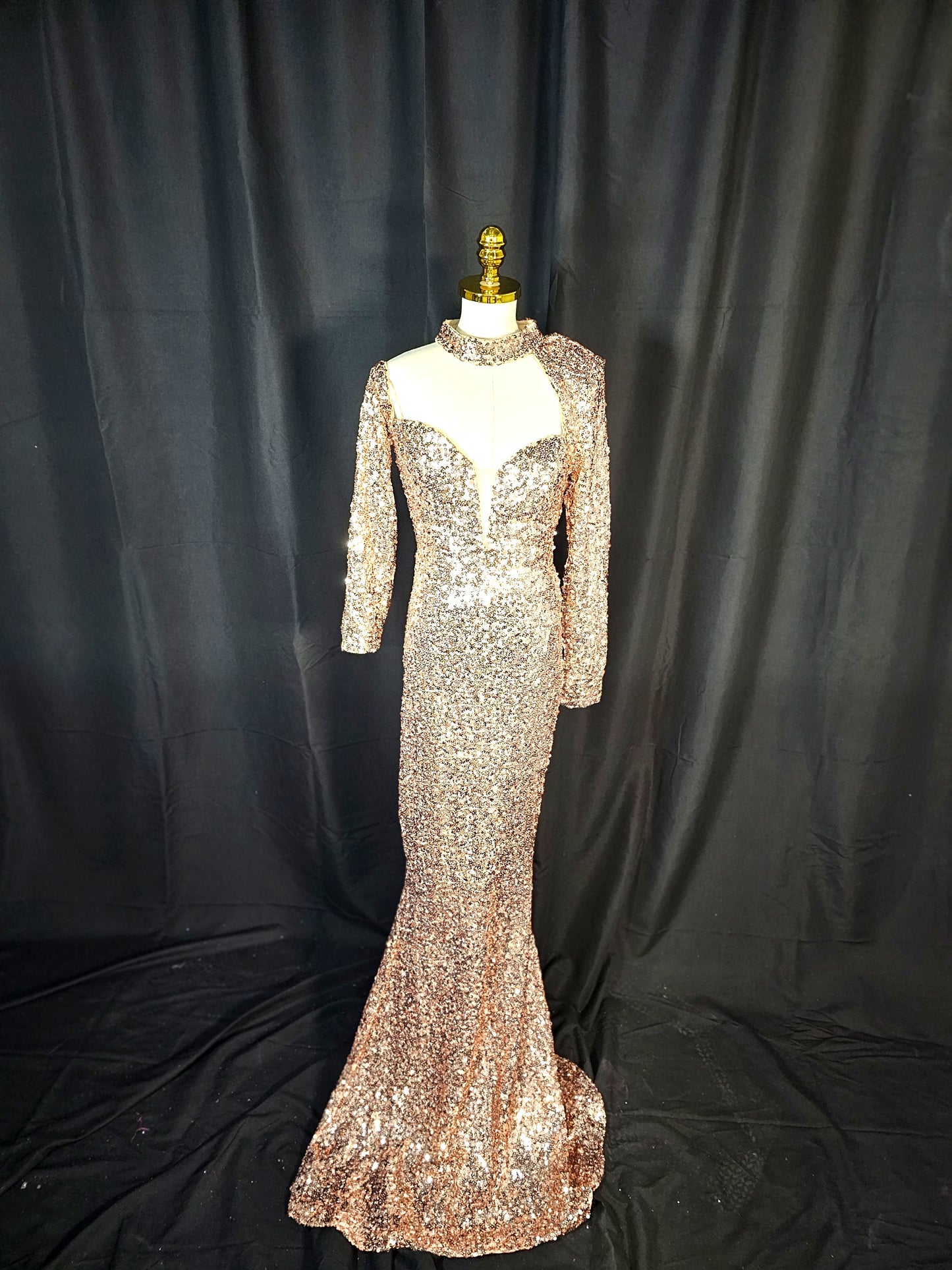 Glimmer Goddess Evening Gown