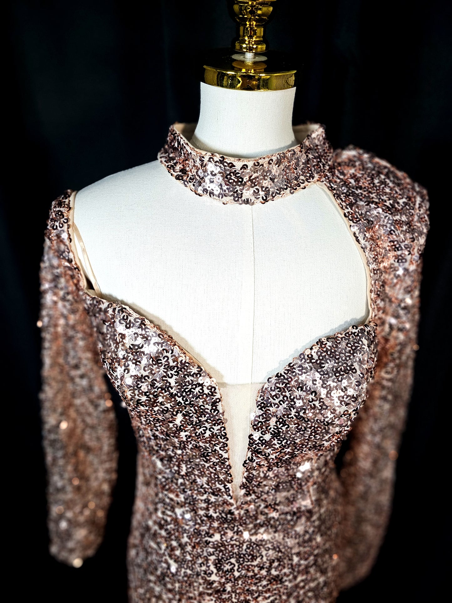 Glimmer Goddess Evening Gown